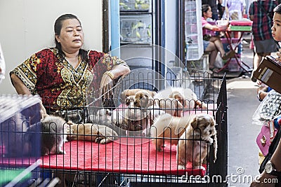 Chatachuk market in Bangkok Editorial Stock Photo