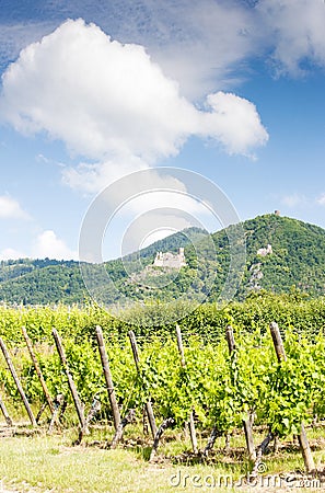 Chateau de Saint-Ulrich near Ribeauville with vineyard, Alsace Stock Photo