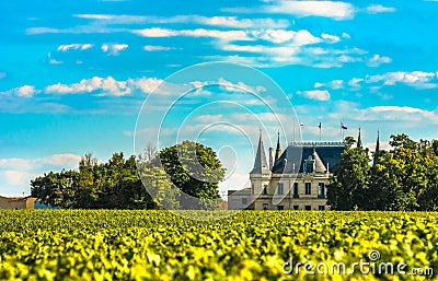 Chateau and vineyard in Margaux, Bordeaux, France Stock Photo