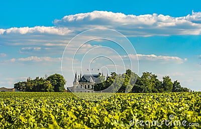 Chateau and vineyard in Margaux, Bordeaux, France Stock Photo