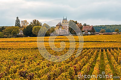 Chateau with vineyards in the autumn season, Burgundy, France Stock Photo