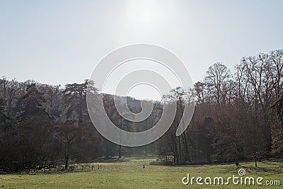Chatenay-Malabry, Chateaubriand House gardens Stock Photo