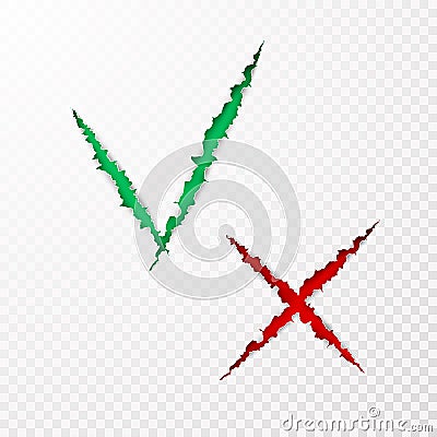 Check box list icons tick and cross, green and red marks are the ripped paper torn off on transparent background Vector Illustration