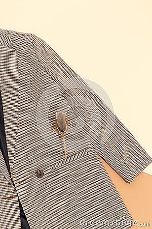 Checkered autumn blazer with dry branch. Fashion fall winter style. Flat lay minimalist Stock Photo