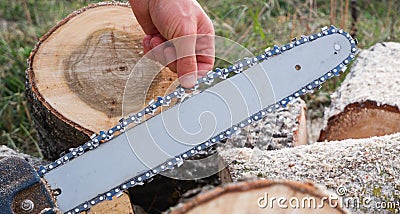 Checking and adjusting the chain tension of the chain saw. A worker checks the tension of the saw chain against a background of Stock Photo