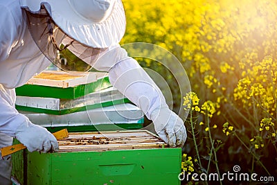 Checking the hives Stock Photo