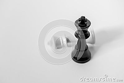 Checkmate, Black King Defeats White king. Chess Concepts. Leadership, Success and Last Man Standing Stock Photo