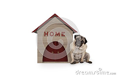 Cheeky pug puppy dog sitting down next to dog house with sign Home Stock Photo