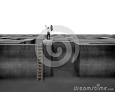 Cheered businessman standing on top of maze wall with ladder Stock Photo