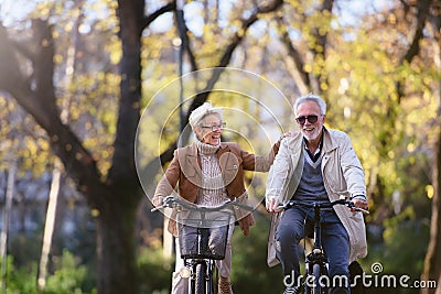 Cheerful active senior couple riding bicycles in public park together having fun. Perfect activities for elderly people. Stock Photo