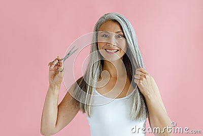 Cheerful Asian lady holds lock of silver hair and scissors on pink background Stock Photo