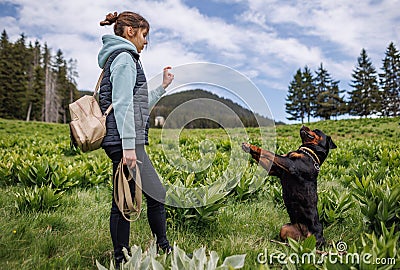 Teenage girl in suit stands and gives commands to dog of Rottweiler breed on meadow with vegetation Stock Photo