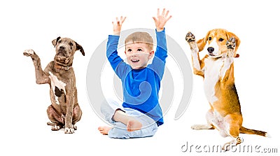 Cheerful boy and two dogs sitting together with hands raised Stock Photo