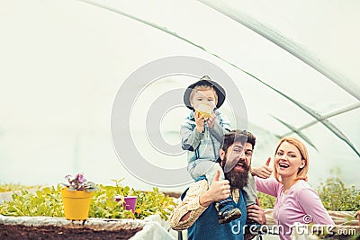 Cheerful family in greenhouse. Father in blue vest holding his son on shoulders while kid is eating apple. Bearded man Stock Photo