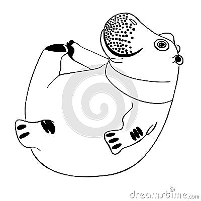 cheerful happy hippo enjoy life Stock Photo