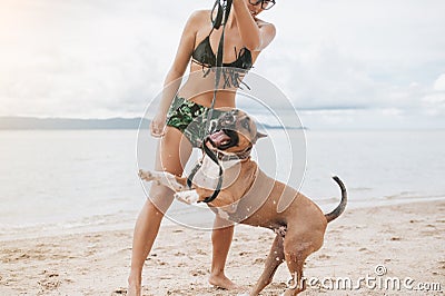 Cheerful asian young woman in eyeglases playing with her dog on the beach Stock Photo