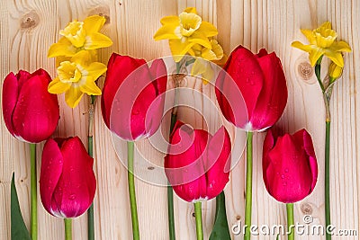 Cheerful Spring Flowers Closeup Stock Photo