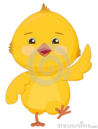 Cheerful walking yellow chicken. Funny bird with pink cheeks and big eyes isolated on white background. Vector Illustration