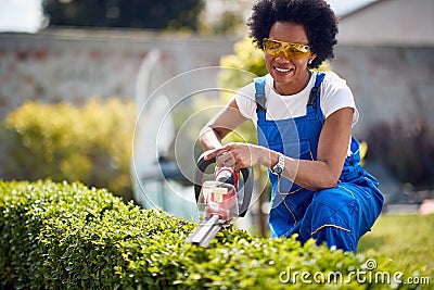 Cheerful young african american woman using electrinc trimmers for cutting hedge outdoors in the yard, working in the garden Stock Photo