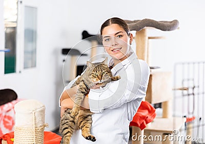 Female volunteer standing in animals shelter with gray tabby tomcat Stock Photo
