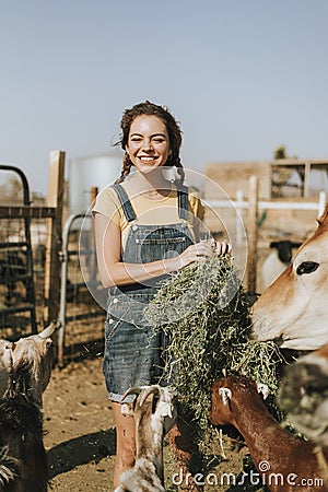 Cheerful young girl feeding goats and a cow Stock Photo