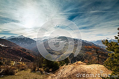 A cheerful young labrodor dog running on the rock.Valais Alps, Switzerland Stock Photo