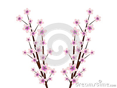 Cheery Blossoms Stock Photo