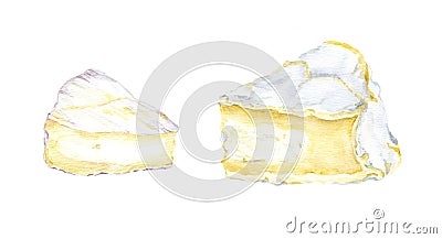 Cheese brie. Watercolour Stock Photo