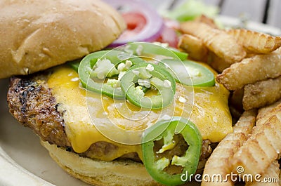 Cheese burger and fries Stock Photo