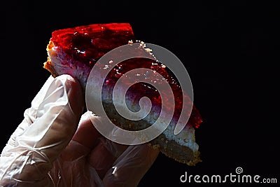 Cheese cake with red strawberry jelly on top held in left hand in hygienic latex glove, dark background Stock Photo