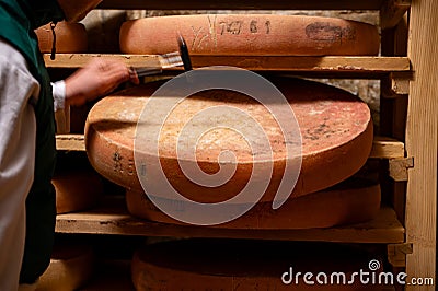 Cheese check in aging rooms with shelves in caves, central location for aging of wheels, rounds of Comte cheese from four months Stock Photo