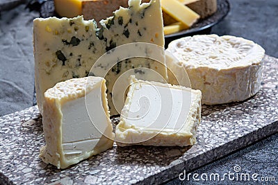 Cheese collection, French cheeses made from goat, cow and sheep melk: semi hard Roquefort blue cheese, soft Chabichou of Poitou Stock Photo