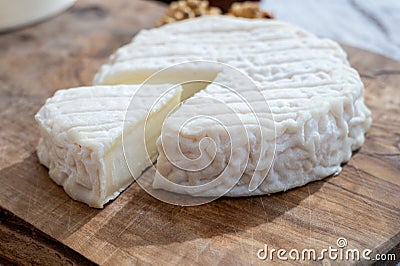 Cheese collection, French Perail les Buissieres cheese made from sheep milk from Aveyron, France close up Stock Photo