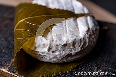 Cheese Delight of Tokyo, leaf decorated. French natural product. Stock Photo