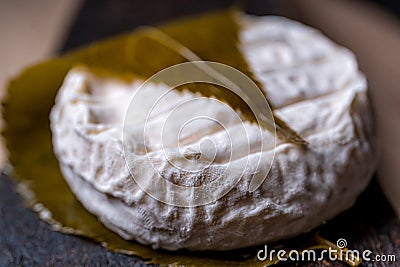 Cheese Delight of Tokyo, leaf decorated. French natural product. Stock Photo