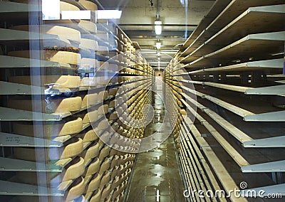 Cheese factory production shelves Editorial Stock Photo