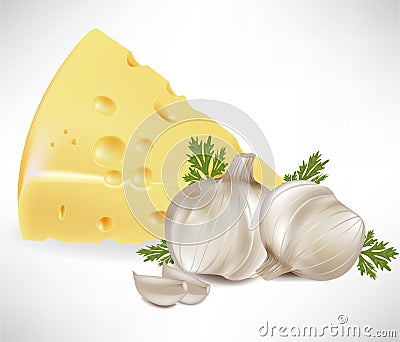 Cheese and garlic Vector Illustration
