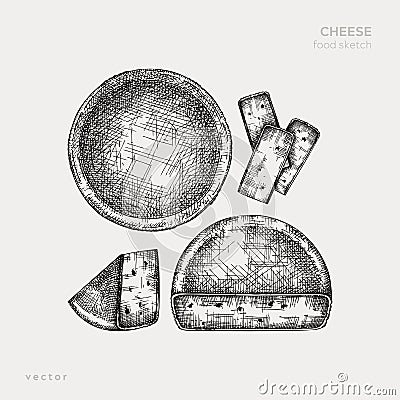 Cheese hand drawn illustration collection. Food design elements. Vector cheese sketches in engraved style. Dairy products drawings Vector Illustration