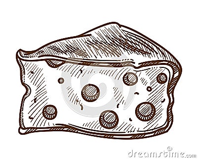Cheese with holes isolated sketch diary product food Vector Illustration