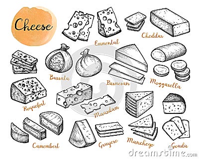 Cheese ink sketches set. Vector Illustration
