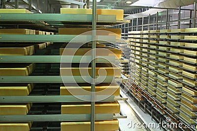 Cheese-making processes Stock Photo