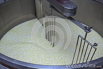 Cheese making Stock Photo