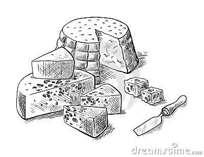 Cheese making various types of cheese set of vector sketches Vector Illustration
