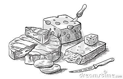 Cheese making various types of cheese set of vector sketches Vector Illustration