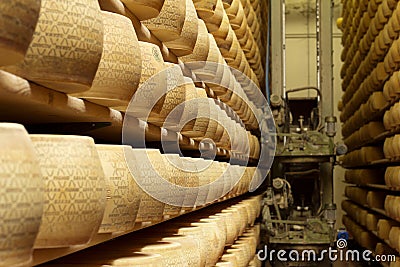 Cheese maturing storehouse Stock Photo