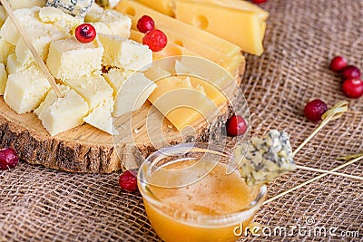 Cheese with mold and honey close-up, side view. Cheese slices with honey and cranberries Stock Photo