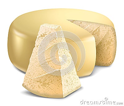 Cheese. Parmesan Vector Illustration