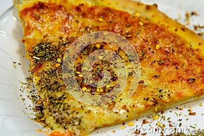 Cheese pizza with oregeno Stock Photo