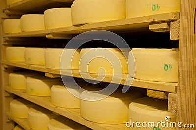 Cheese production Stock Photo