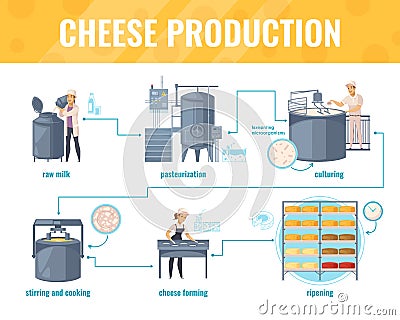 Cheese Production Cartoon Infographics Vector Illustration